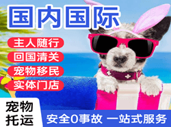 北京机场空运国际宠物托运 【国
